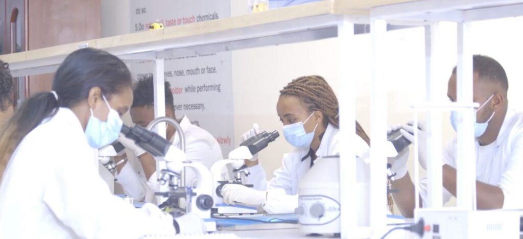 Photo 2024 11 12 21 06 08 2 1024x468