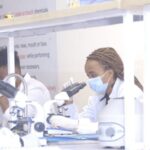 photo_2024-11-12_21-06-08 (2)